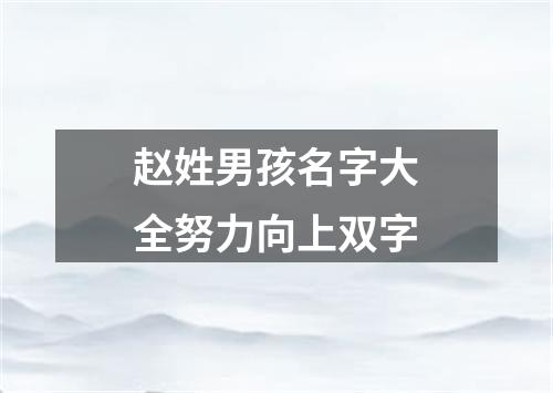 赵姓男孩名字大全努力向上双字