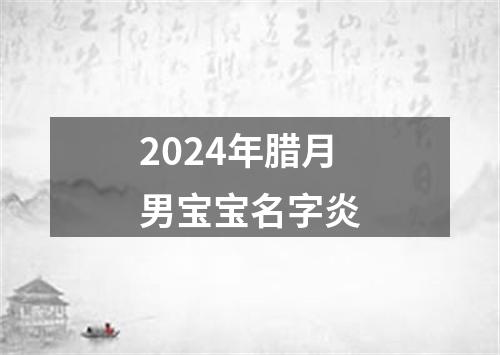 2024年腊月男宝宝名字炎