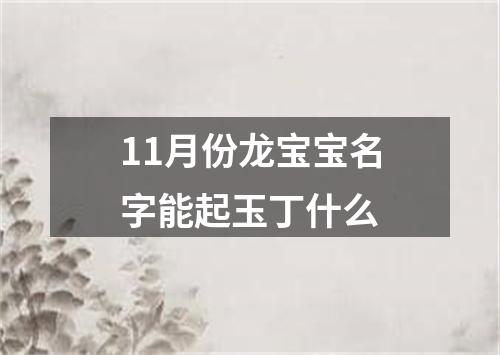 11月份龙宝宝名字能起玉丁什么