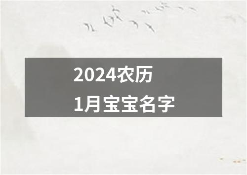 2024农历1月宝宝名字