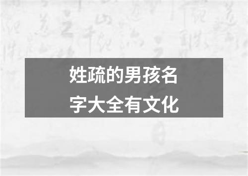 姓疏的男孩名字大全有文化