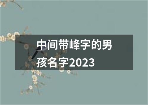 中间带峰字的男孩名字2023