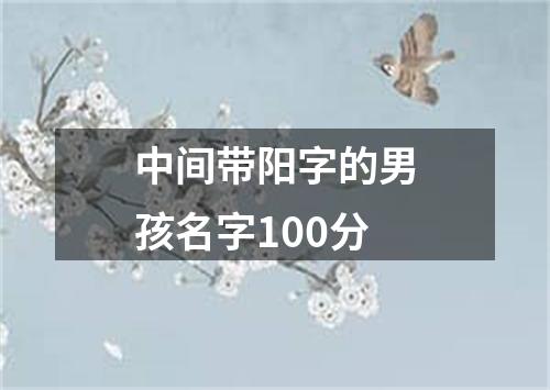 中间带阳字的男孩名字100分