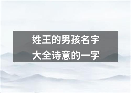 姓王的男孩名字大全诗意的一字