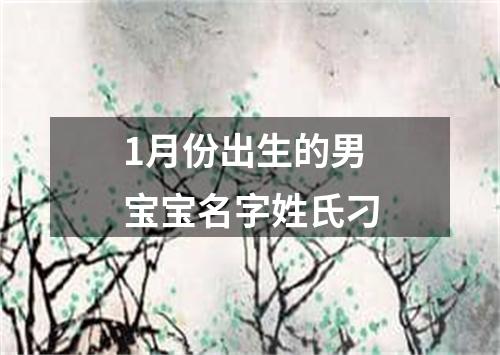 1月份出生的男宝宝名字姓氏刁