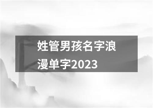 姓管男孩名字浪漫单字2023