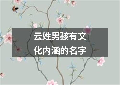 云姓男孩有文化内涵的名字