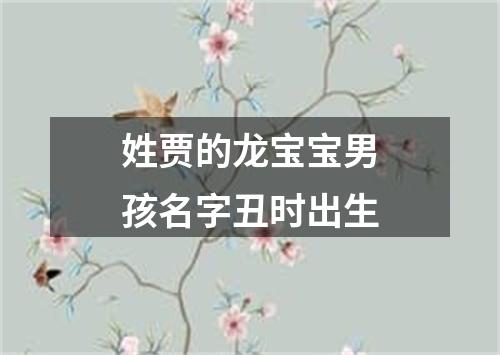 姓贾的龙宝宝男孩名字丑时出生