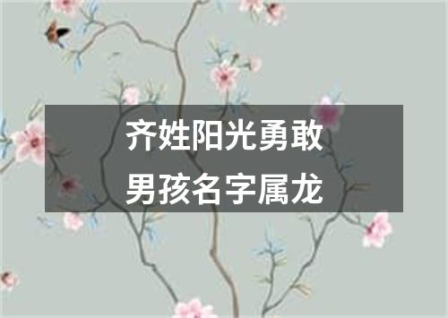 齐姓阳光勇敢男孩名字属龙