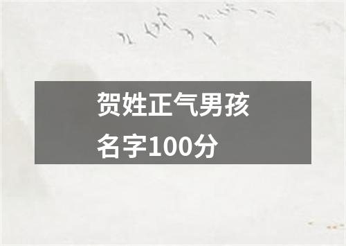 贺姓正气男孩名字100分