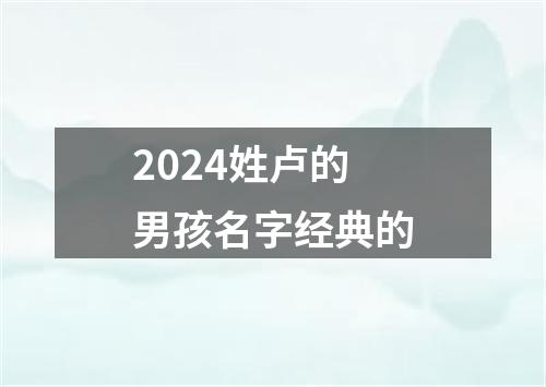 2024姓卢的男孩名字经典的