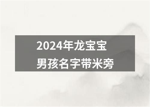 2024年龙宝宝男孩名字带米旁