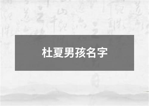 杜夏男孩名字