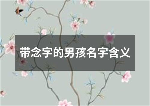 带念字的男孩名字含义