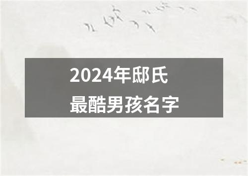 2024年邸氏最酷男孩名字