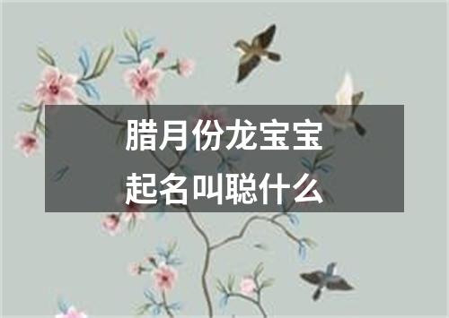 腊月份龙宝宝起名叫聪什么