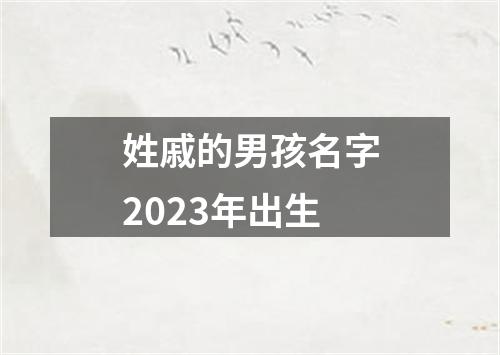 姓戚的男孩名字2023年出生