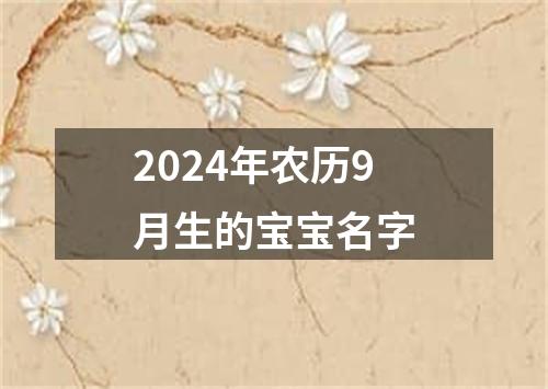 2024年农历9月生的宝宝名字