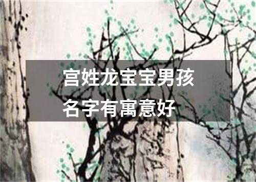 宫姓龙宝宝男孩名字有寓意好