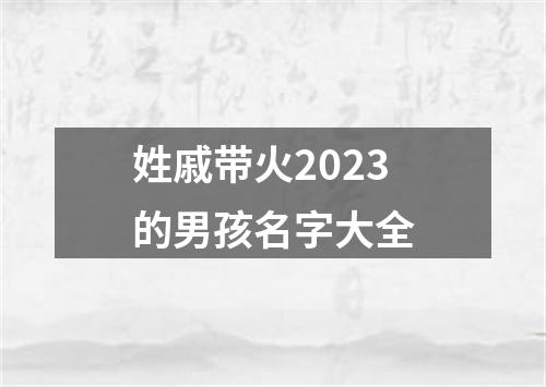 姓戚带火2023的男孩名字大全