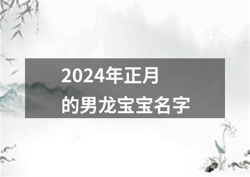 2024年正月的男龙宝宝名字