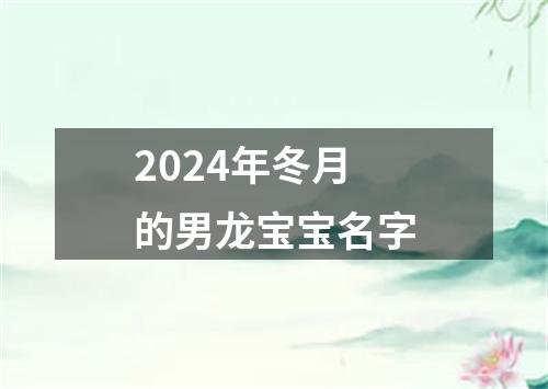 2024年冬月的男龙宝宝名字