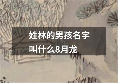 姓林的男孩名字叫什么8月龙