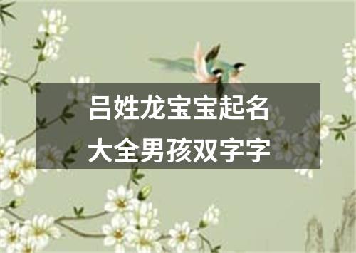 吕姓龙宝宝起名大全男孩双字字