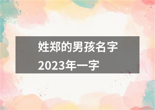 姓郑的男孩名字2023年一字