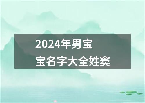 2024年男宝宝名字大全姓窦