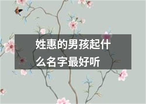 姓惠的男孩起什么名字最好听