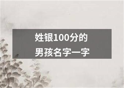 姓银100分的男孩名字一字