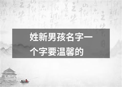 姓新男孩名字一个字要温馨的