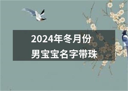 2024年冬月份男宝宝名字带珠