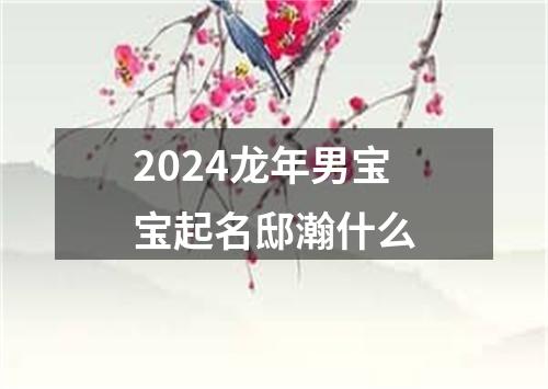 2024龙年男宝宝起名邸瀚什么