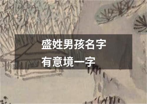 盛姓男孩名字有意境一字