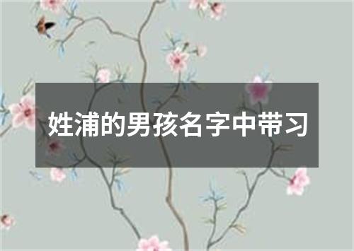 姓浦的男孩名字中带习