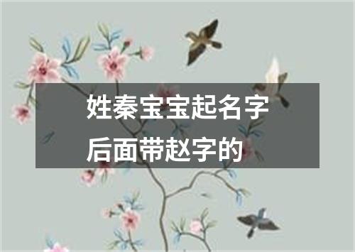 姓秦宝宝起名字后面带赵字的