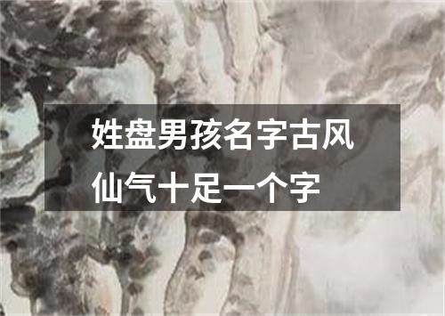 姓盘男孩名字古风仙气十足一个字