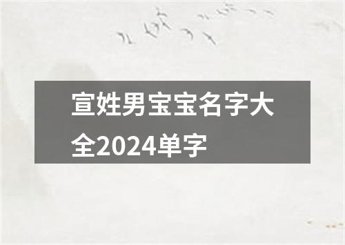 宣姓男宝宝名字大全2024单字