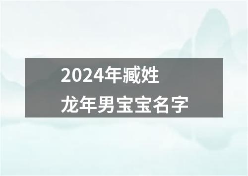 2024年臧姓龙年男宝宝名字