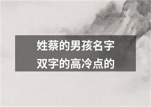 姓蔡的男孩名字双字的高冷点的