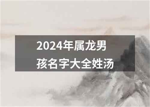 2024年属龙男孩名字大全姓汤