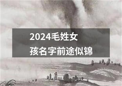 2024毛姓女孩名字前途似锦