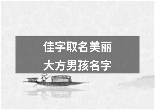 佳字取名美丽大方男孩名字