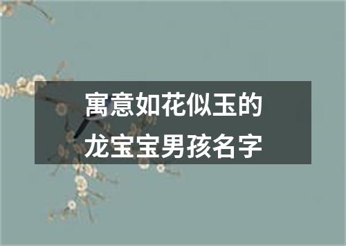 寓意如花似玉的龙宝宝男孩名字