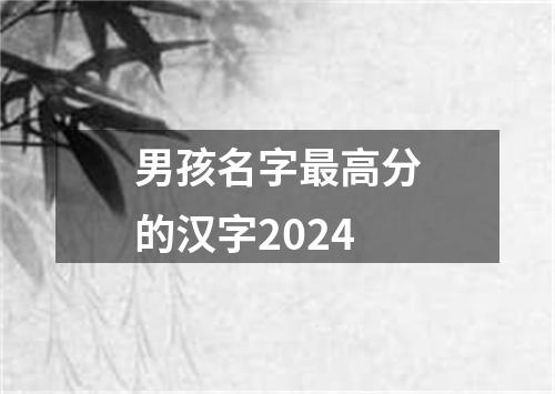 男孩名字最高分的汉字2024