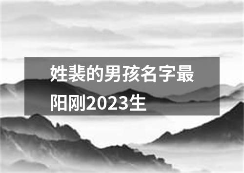 姓裴的男孩名字最阳刚2023生