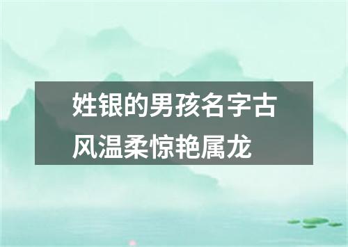 姓银的男孩名字古风温柔惊艳属龙