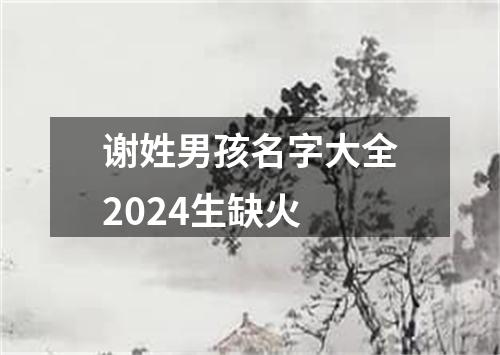 谢姓男孩名字大全2024生缺火